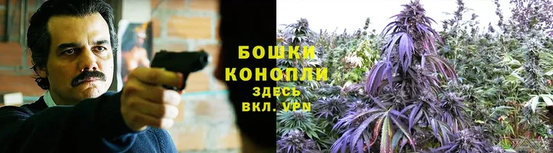 наркошоп  shop какой сайт  Шишки марихуана SATIVA & INDICA  Всеволожск 